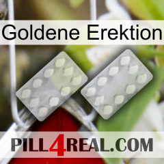 Golden Erection 17